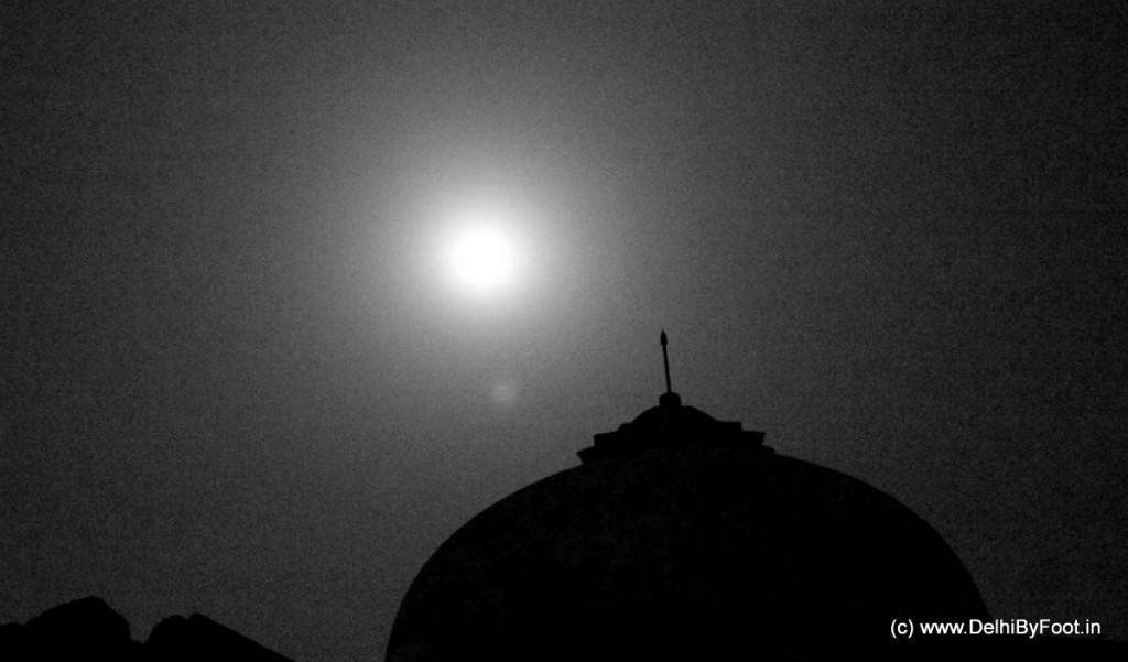 IMG_4366-001